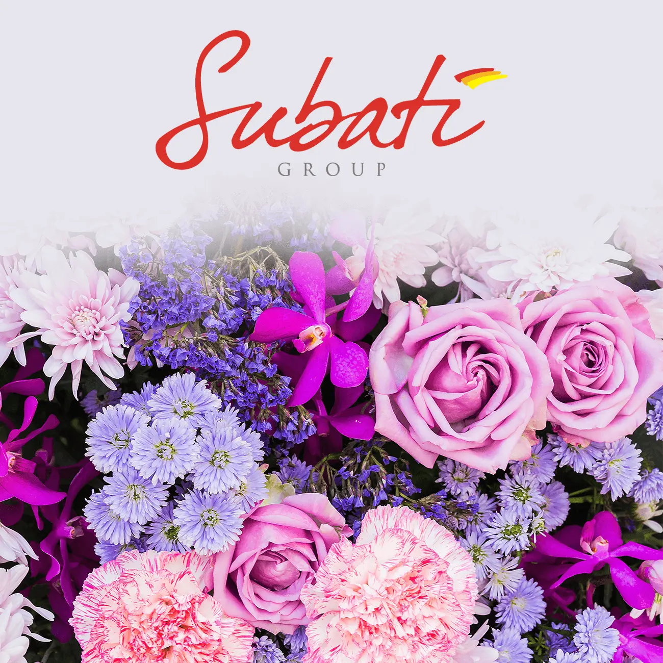 Subati Group Portfolio